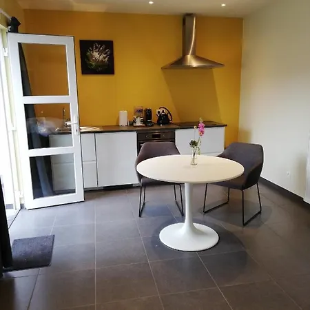 Touristflat Dewulf גנט