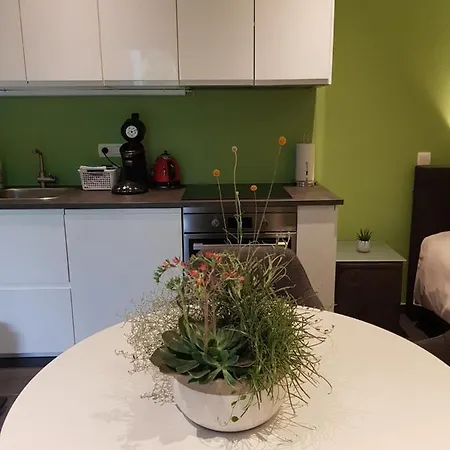 Touristflat Dewulf גנט