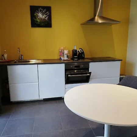 Touristflat Dewulf Apartamento Gante